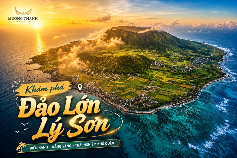 images/news/2026/06/original/dao-lon-ly-son_1780630595.jpg
